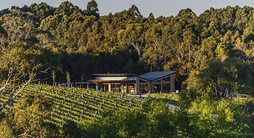 Karrawatta cellar door through vineyard